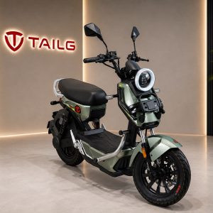 scooters-electriques-tailg-stunt