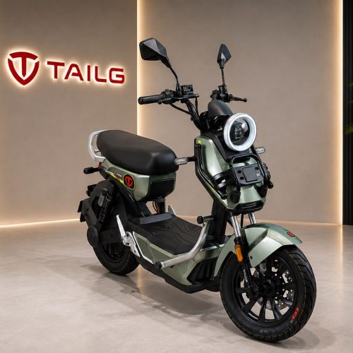 scooters-electriques-tailg-stunt